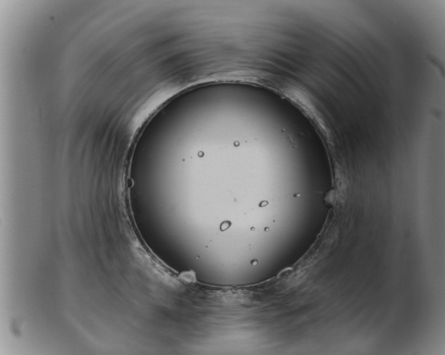 X0000103410952200809191542