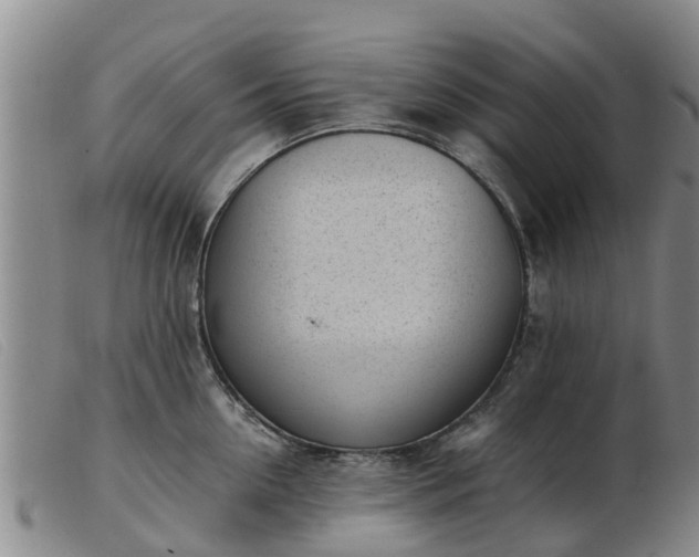 X0000103410954200809191542