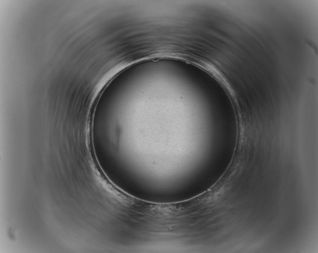 X0000103410955200809191542