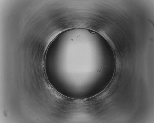 X0000103410956200809191542