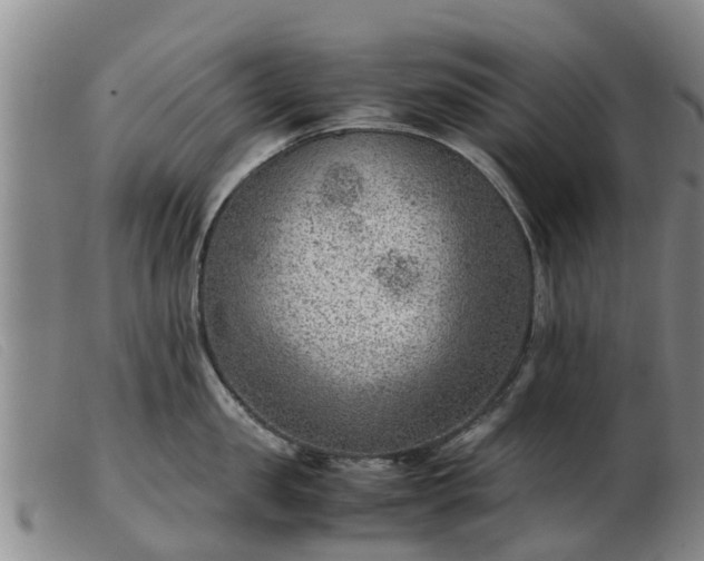 X0000103410957200809191542