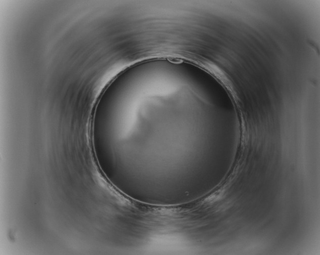 X0000103410958200809191542