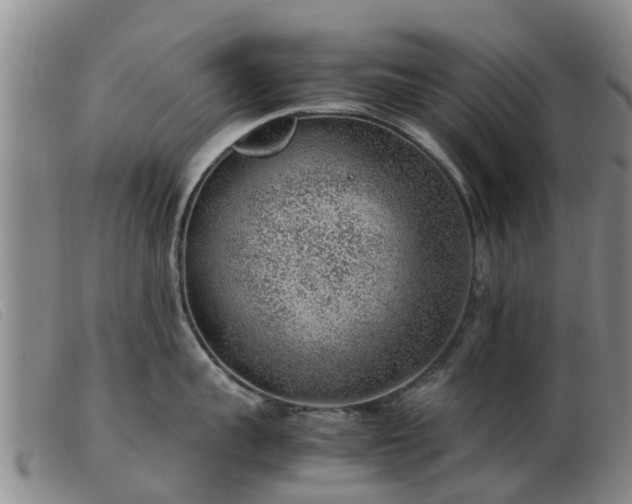 X0000103410959200809191542