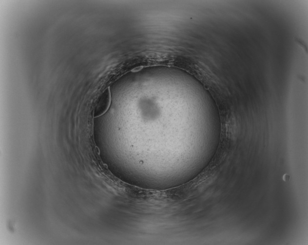 X0000103410961200809191542