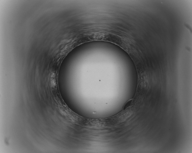 X0000103410962200809191542