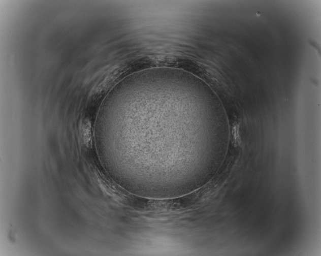 X0000103410963200809191542