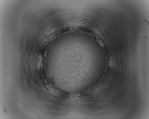 X0000103410964200809191542