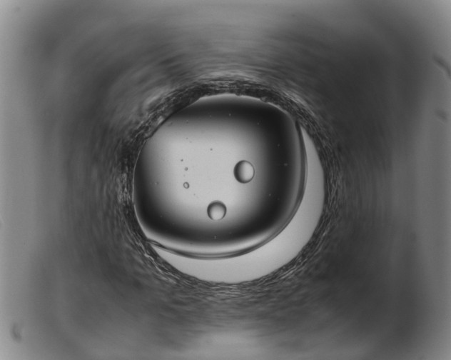 X0000103410965200809191542