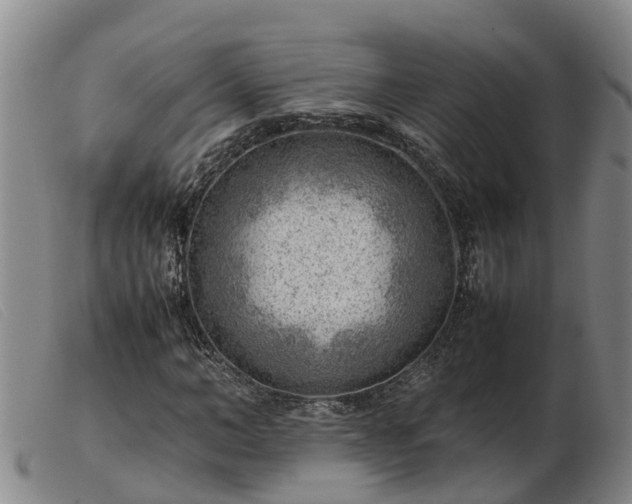 X0000103410966200809191542