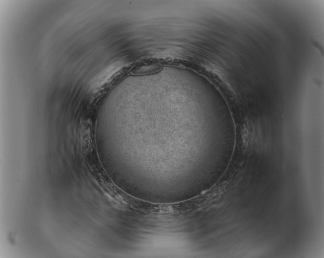 X0000103410968200809191542