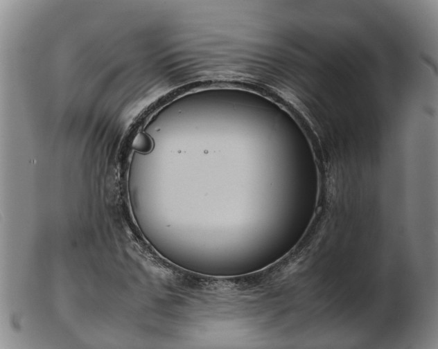 X0000103410971200809191541