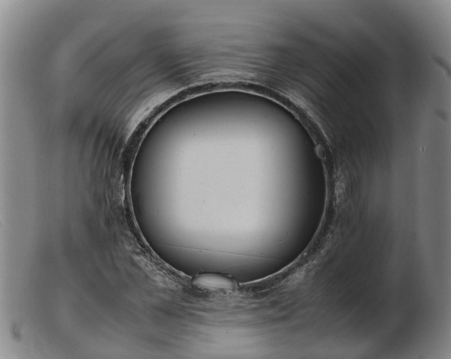 X0000103410973200809191541