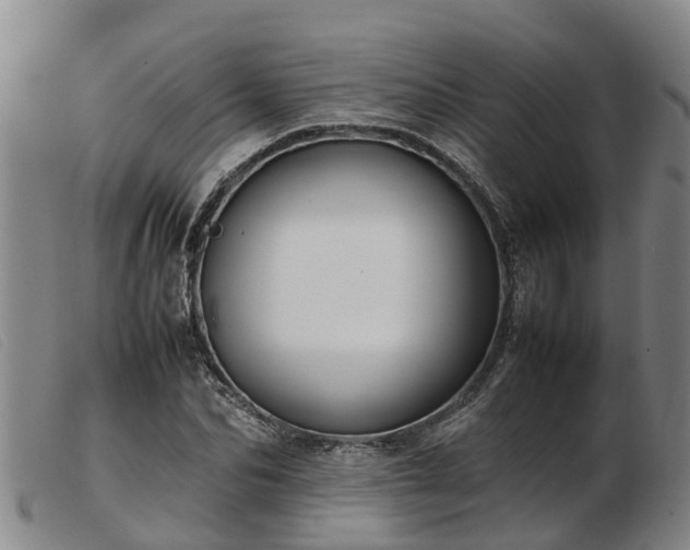 X0000103410974200809191541