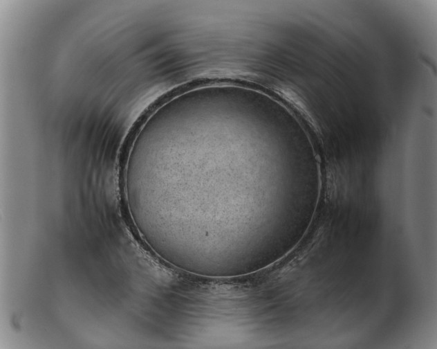 X0000103410976200809191541