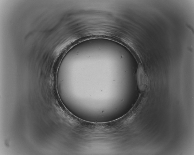 X0000103410979200809191541