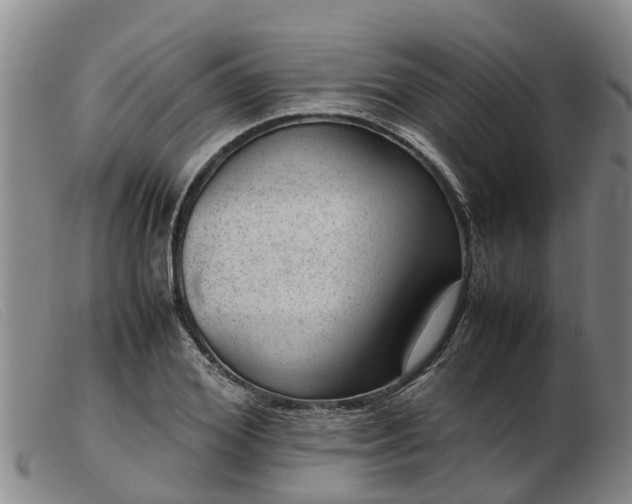 X0000103410980200809191541