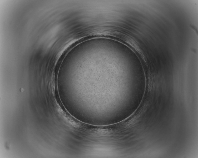 X0000103410984200809191541