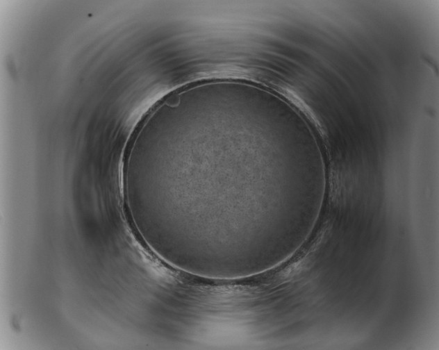 X0000103410988200809191541