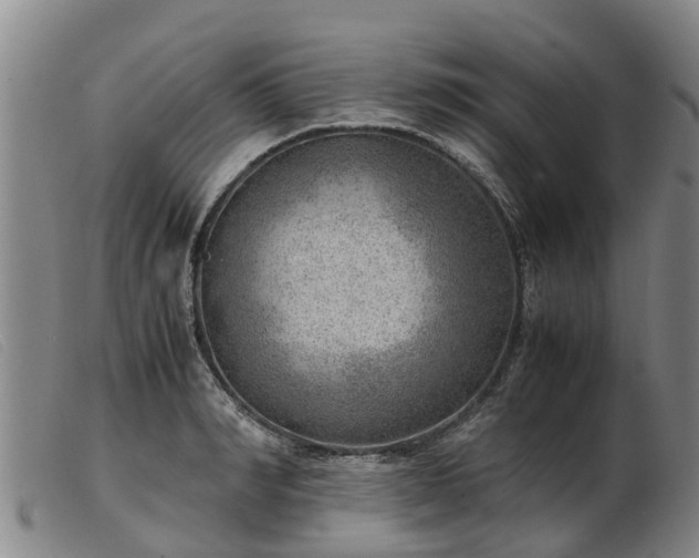 X0000103410990200809191541