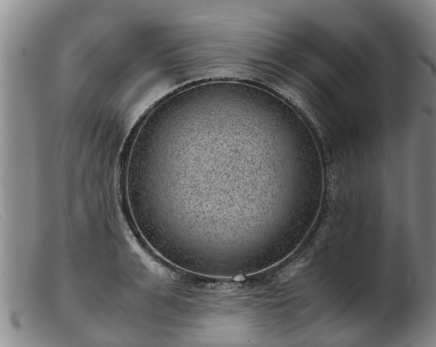 X0000103410991200809191541