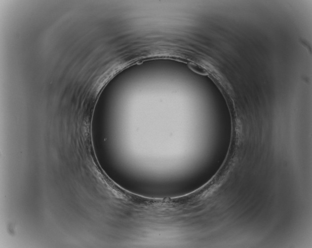 X0000103410993200809191541