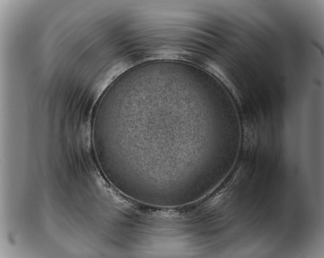 X0000103410994200809191541