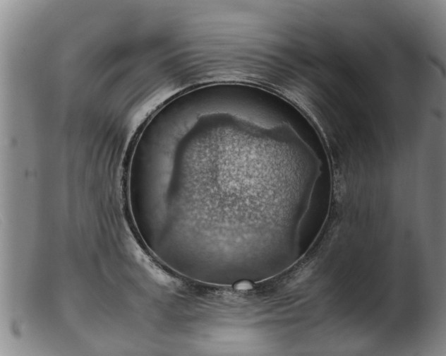 X0000103410995200809191541