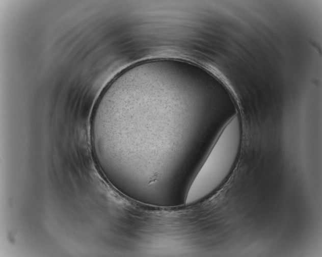 X0000103410996200809191541