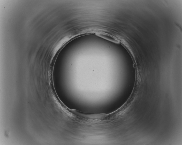 X0000103410997200809191541