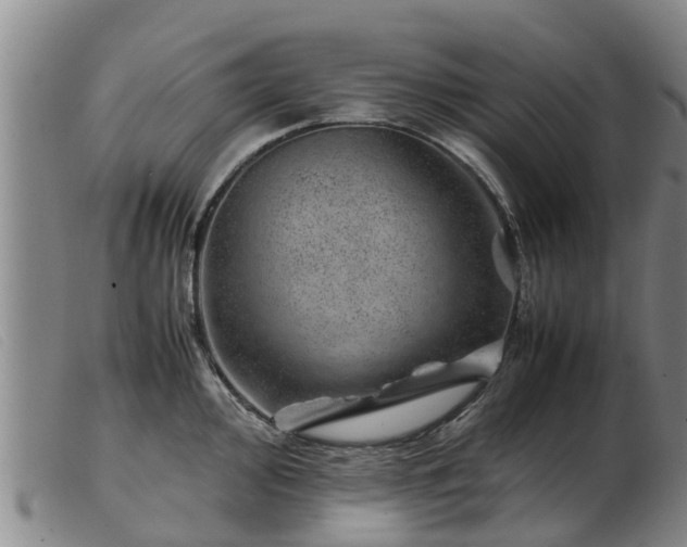 X0000103411000200809191541