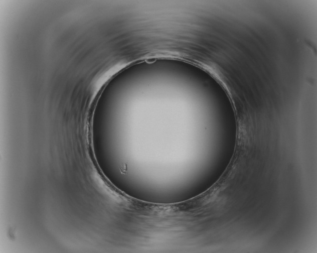 X0000103411003200809191541