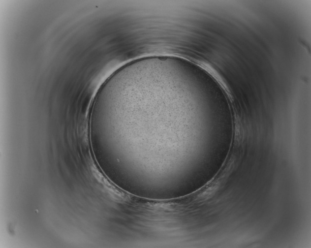 X0000103411004200809191541