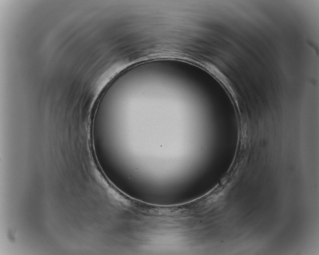 X0000103411005200809191541