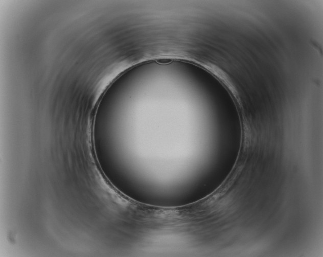 X0000103411006200809191541