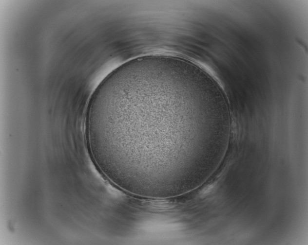 X0000103411007200809191541