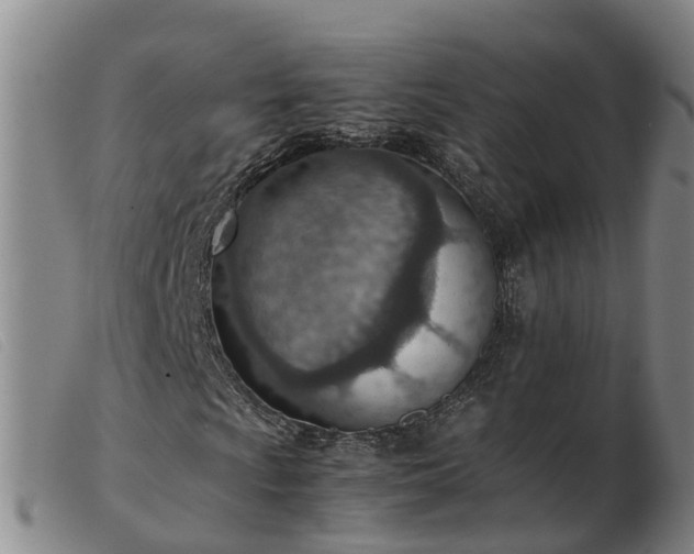 X0000103411009200809191540