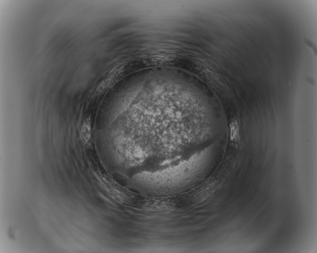 X0000103411011200809191540