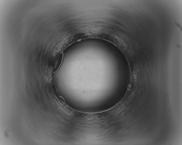 X0000103411012200809191540