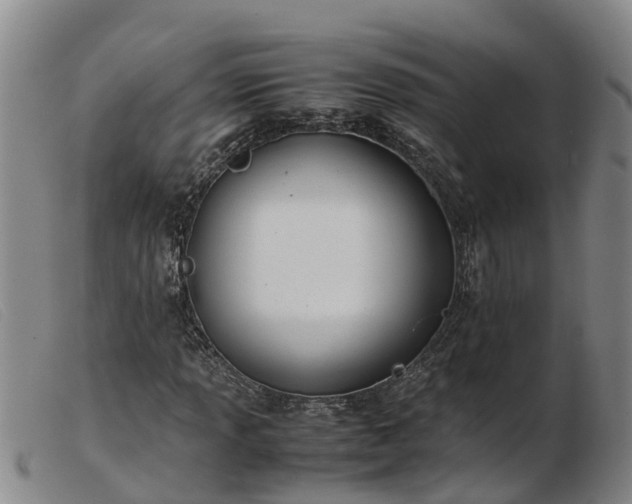 X0000103411013200809191540