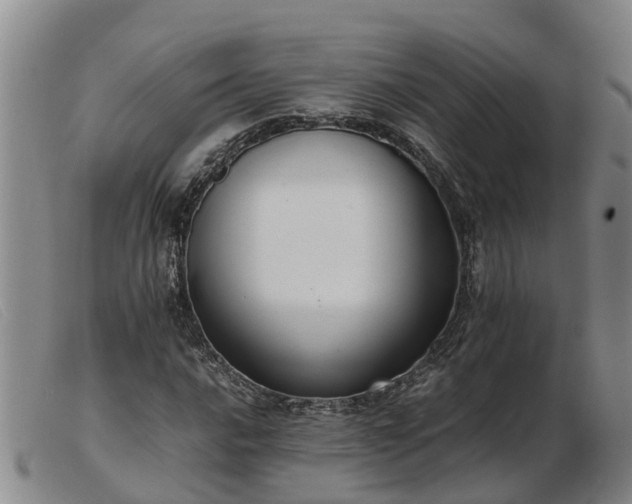 X0000103411016200809191540