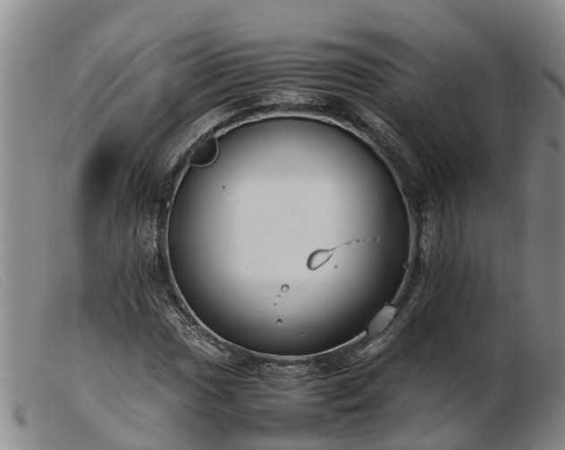 X0000103411017200809191540