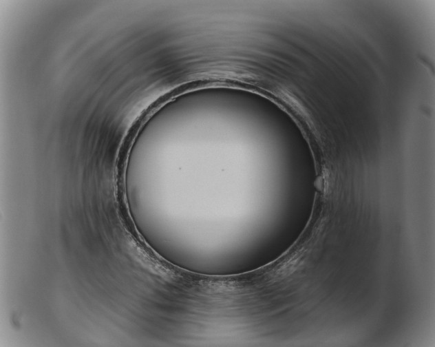 X0000103411020200809191540