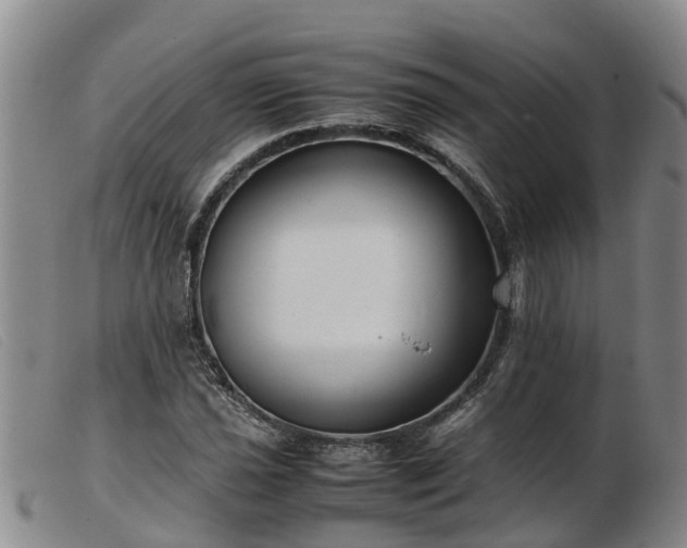 X0000103411021200809191540