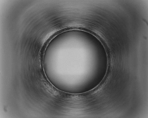 X0000103411022200809191540