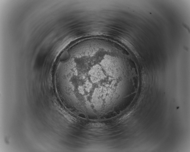 X0000103411023200809191540