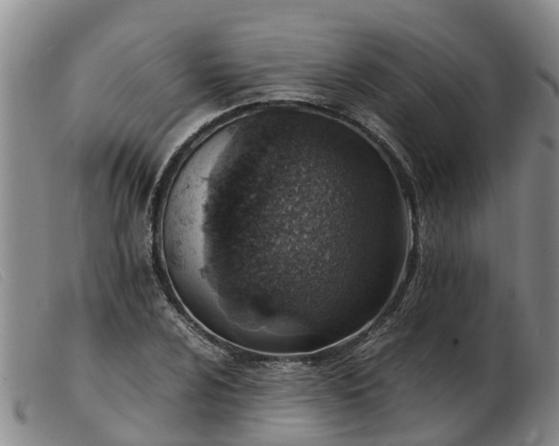 X0000103411024200809191540