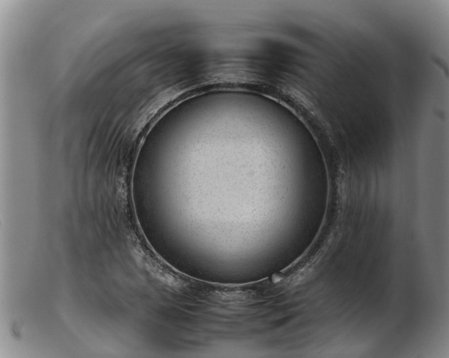 X0000103411025200809191540