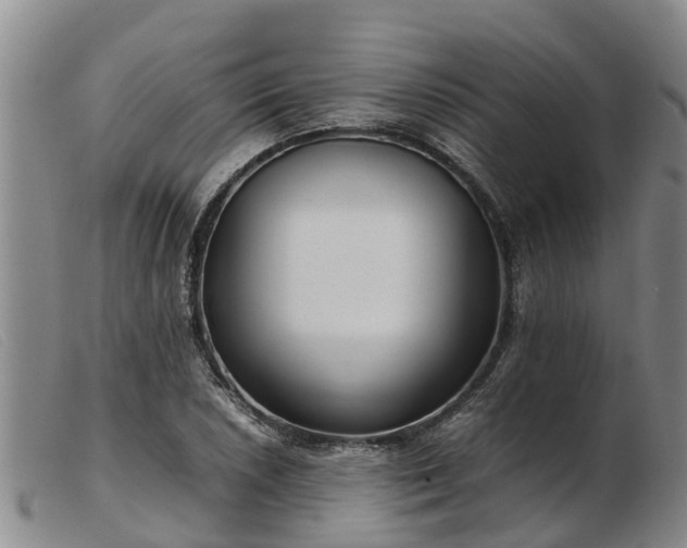 X0000103411026200809191540