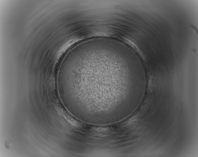 X0000103411027200809191540