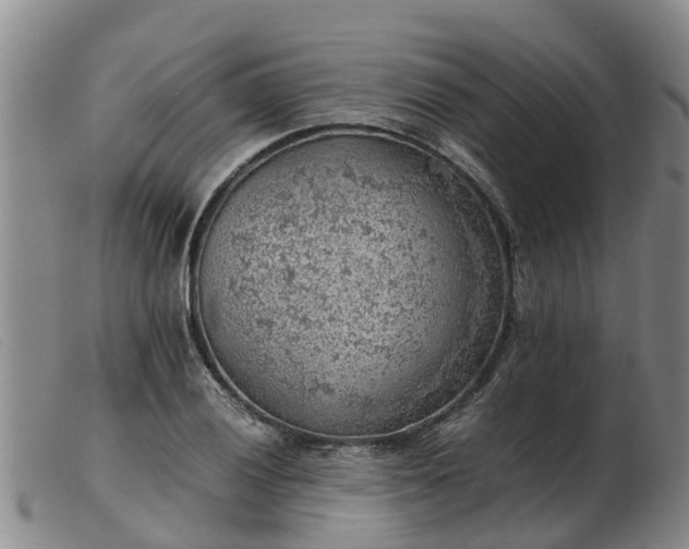 X0000103411028200809191540